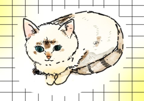 キャンディの日常２